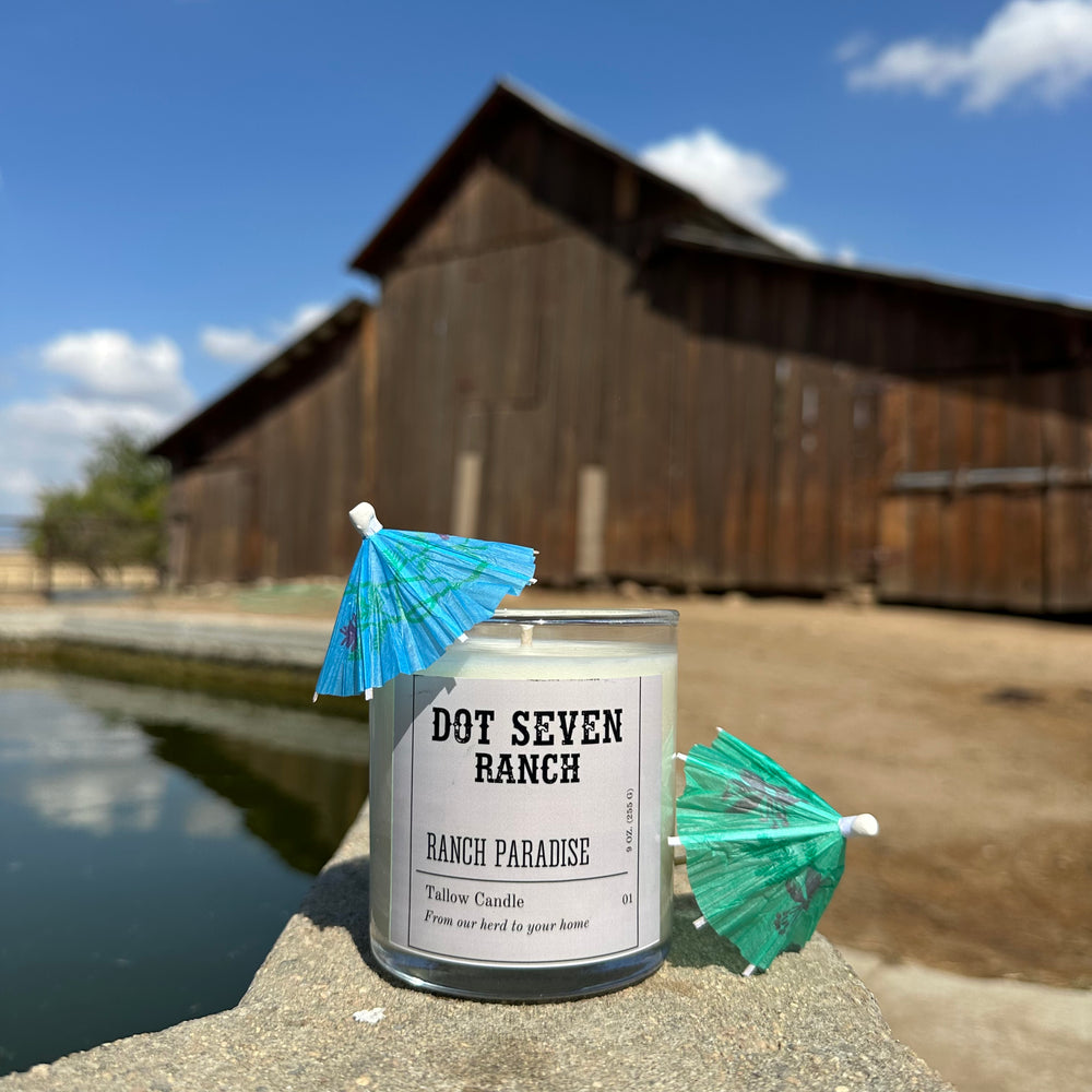 Dot Seven Tallow Candles
