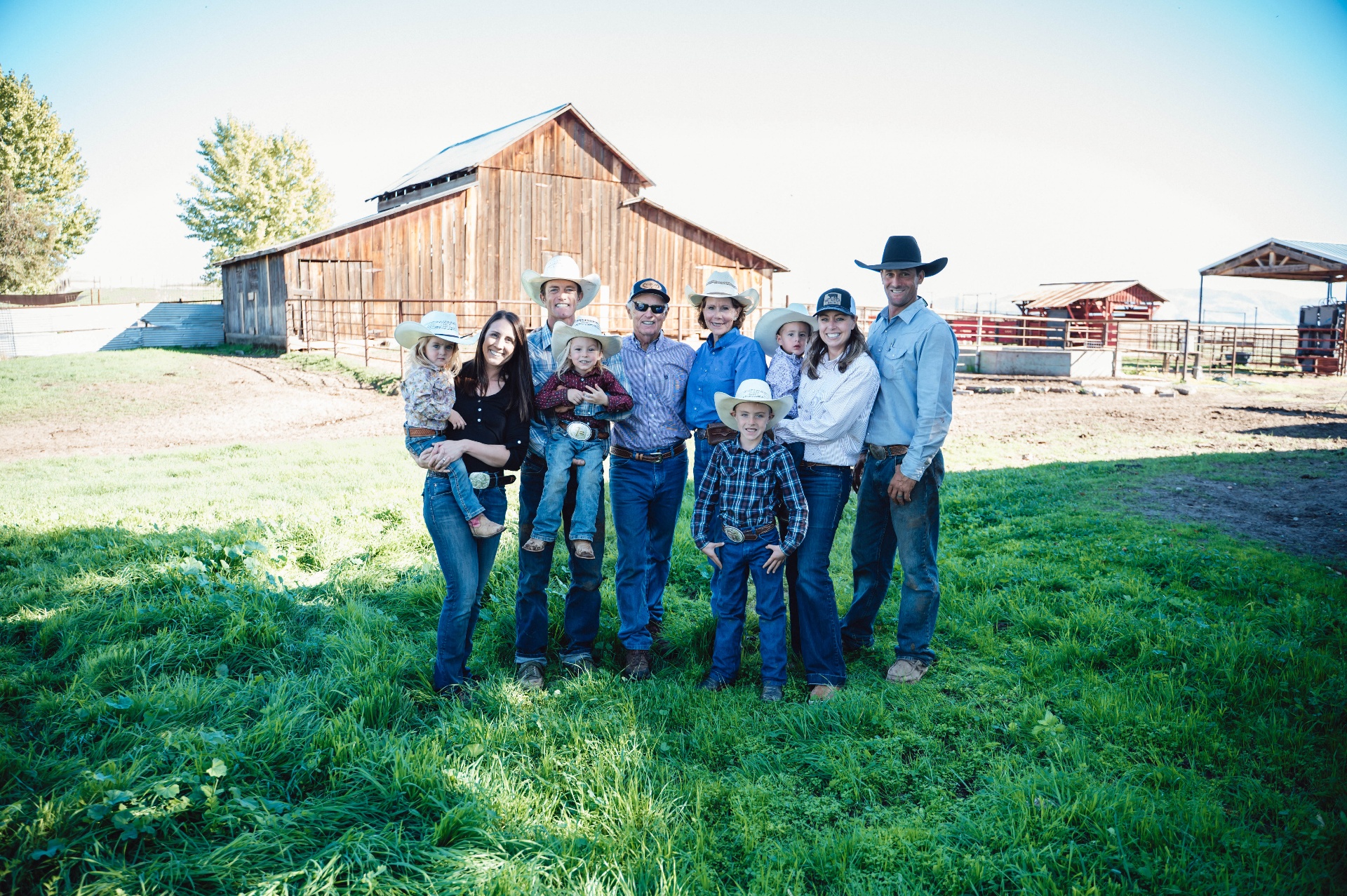 Black Angus cattle grazing on Dot Seven Ranch pasture